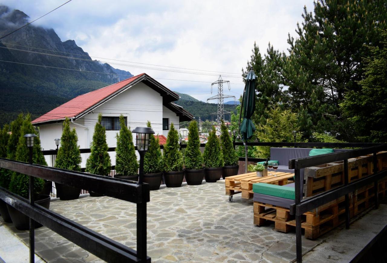 The Bear House Villa Buşteni Exterior foto